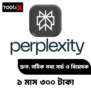perplexity